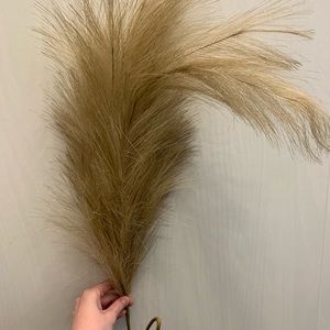 BNIB CB2 faux pampas grass natural